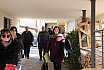 Casa-Atelier Molecole.di.arte a cura di Giorgio Galuppo